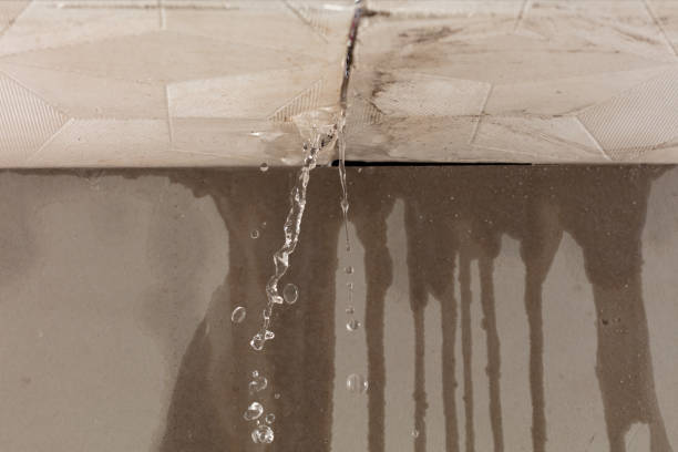 Professional Flood Damage Cleanup technician working in Napoleon, OH